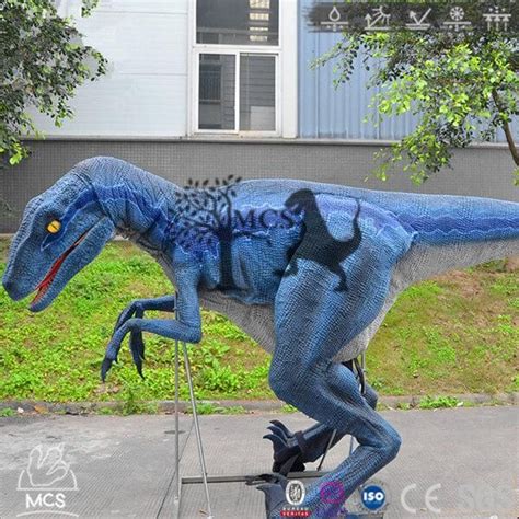 Realistic Raptor Costume Blue For Comic Con-DCRP700 | Blue costumes, Dinosaur costume, Animal ...