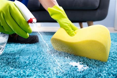 How To Clean Carpet Stains Housewife Tos