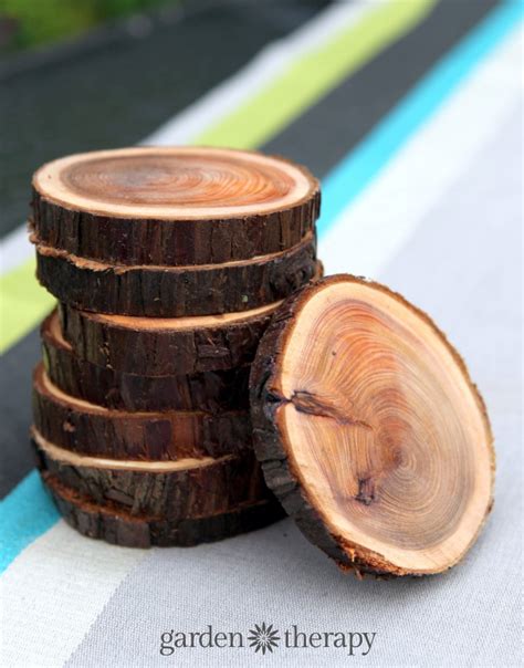 Natural Branch Coasters