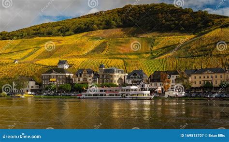 Germany - Vineyards Above the Moselle River - Bernkastel Kues Stock Image - Image of ...