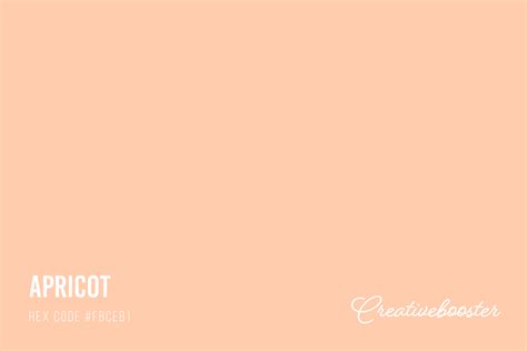 All About Color Apricot (Color Codes, Meaning and Pairings ...