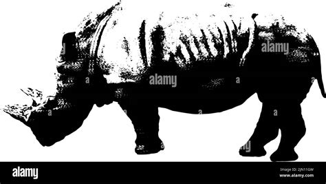 Optical illusion animal Cut Out Stock Images & Pictures - Alamy