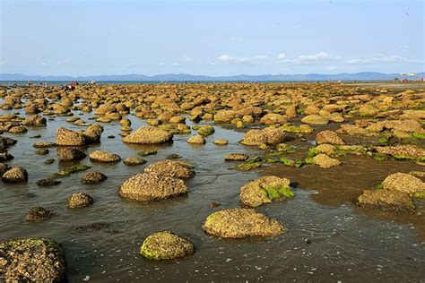 Saint Martin Coral Island, Bangladesh | About Bangladesh Tourism and Tourist Attractions in All ...