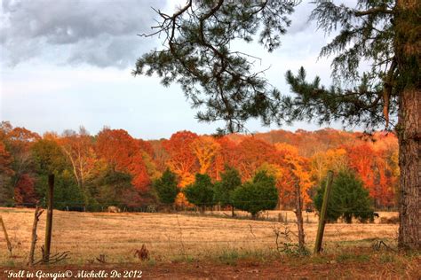 North Georgia Fall Colors!