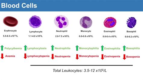 Introduction to Clinical Lab Values: Blood Cells and Electrolytes - YouTube