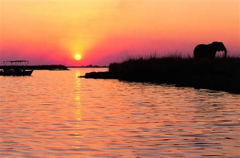 Sunset Cruise Chobe River - Game Viewing Cruise