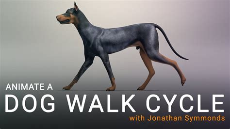 Dog Walk Cycle