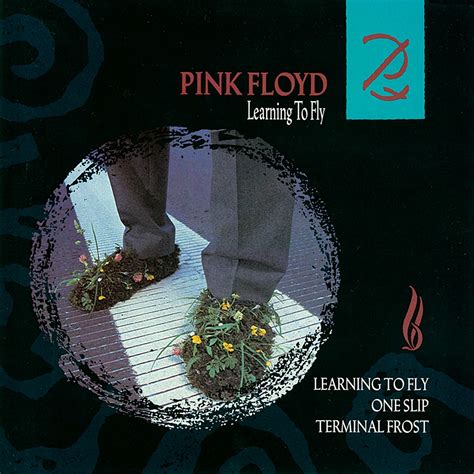 Pink Floyd Ilustrado: Learning To Fly - Single 7" Pink Vinyl U.K