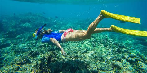 Snorkeling in Hawaii: Best Underwater Spots to Look for Nemo