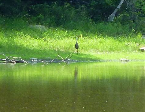 Gone Hikin': Wawayanda State Park, NJ - Wawayanda Lake Loop