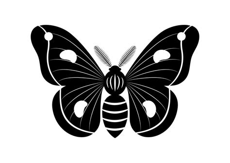 Black and White Moth Insect Clipart Vector isolated on White Background 29110734 Vector Art at ...