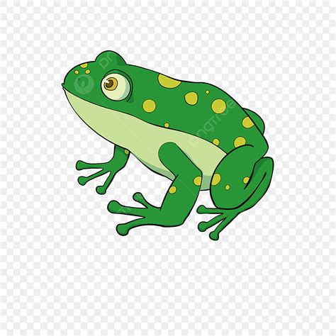 Gelb Gefleckte Karikatur Frosch Clipart, Frosch Clipart, Frosch Clipart, Handbemalter Frosch PNG ...