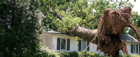 Wind & Storm Damage Restoration Campbell River & Courtenay | North Central Vancouver Island ...