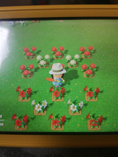 Flower layout HELP. Trying to breed pinks. Is this not right? : r ...