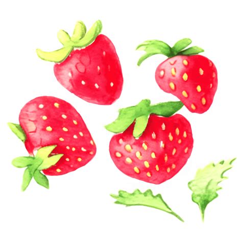 Strawberry Digital Graphic · Creative Fabrica