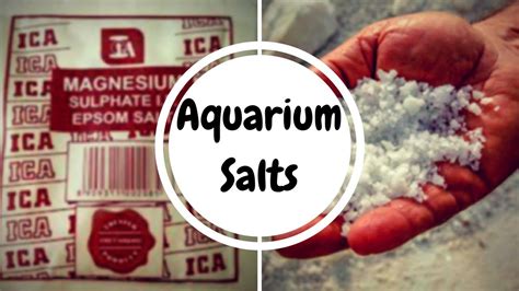 Types of Salts | Aquarium Salt Vs Epsom Salt - YouTube