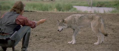 Dances with Wolves - Movie Forums