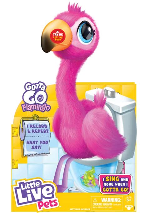 Little Live Pets Gotta Go Flamingo Value Pack: Sherbet Interactive ...