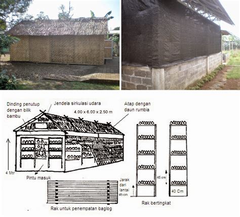 Kumbung Jamur Sketsa - IlmuBudidaya.com