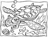 Sea Turtle coloring Page  Animals Town color Sheet sketch template