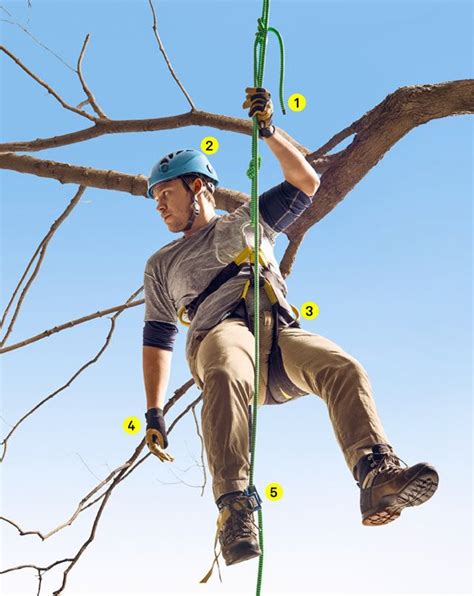 The+Gear+You+Need+to+Climb+the+Trees - PopularMechanics.com Tree Climbing Rope, Climbing Knots ...