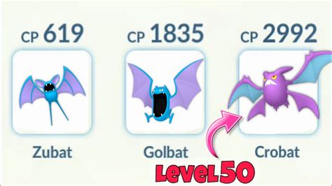 Pokemon Zubat Evolution