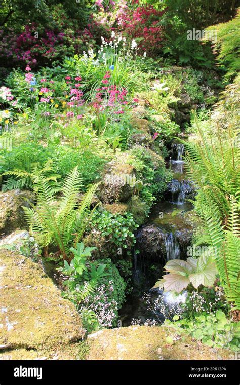 Plas Cadnant, Hidden Gardens Stock Photo - Alamy