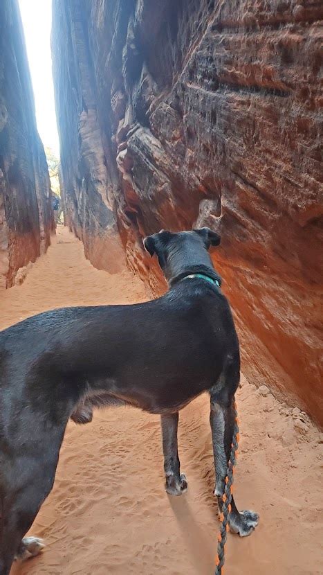 Snow Canyon State Park – My Zion Vacation