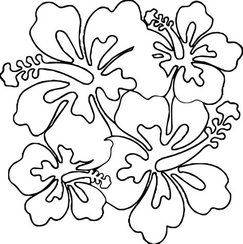 hawaii state flower coloring page