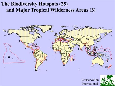 PPT - Human Population and the Biodiversity Hotspots PowerPoint Presentation - ID:3844183