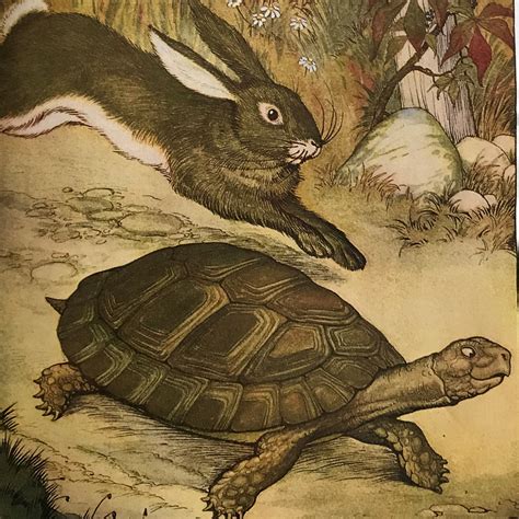 “THE HARE & THE TORTOISE” – Chrysanthemum Stories