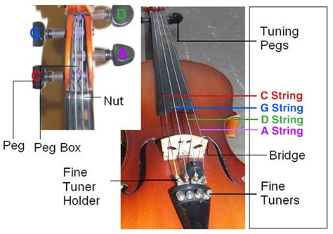 How to String a Viola - Get-Tuned.com