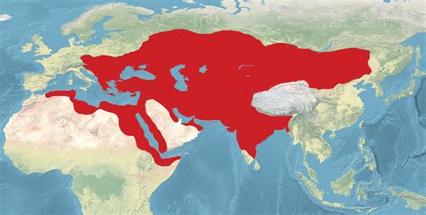 Map of All Lands Once Ruled By Turkic Empires. - Maps on the Web