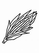 Coloring Crops Corn Wheat Field Pages Drawing Farm Stalk Farmer  sketch template