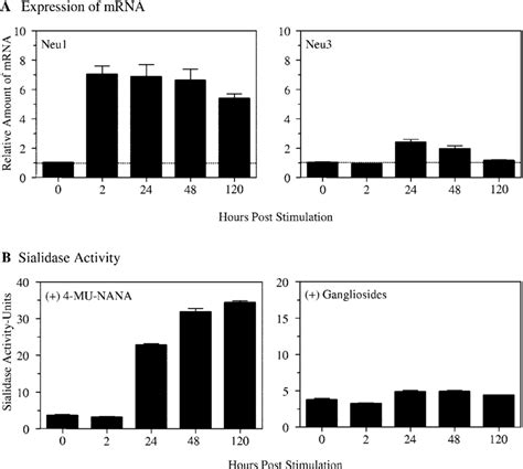 Activation of lymphocytes is associated with increased expression of ...