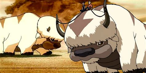 Avatar: What Happened To Appa After The Last Airbender Ended