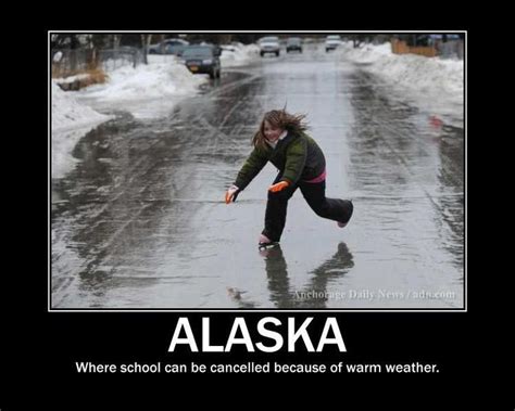 21 Alaska Winter Memes that Hit Close to Home! | Alaska winter, Alaska, Anchorage alaska