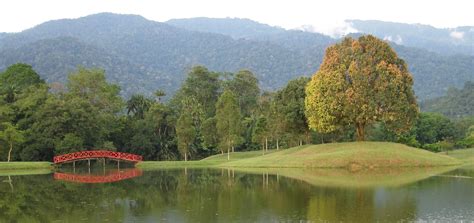 Lake Gardens in Taiping, Perak