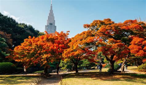 Shinjuku Gyoen National Garden