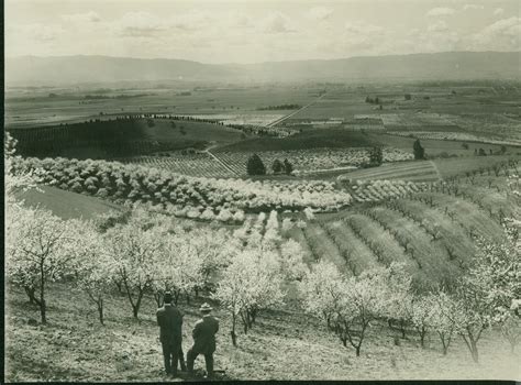 Santa Clara Valley Blossom Time | San jose california, Santa clara ...