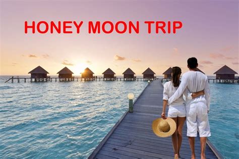 Honeymoon Package at Rs 9999/person in New Delhi