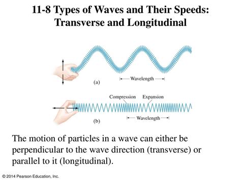 Characteristics Of Longitudinal And Transverse Waves Class 11 ...