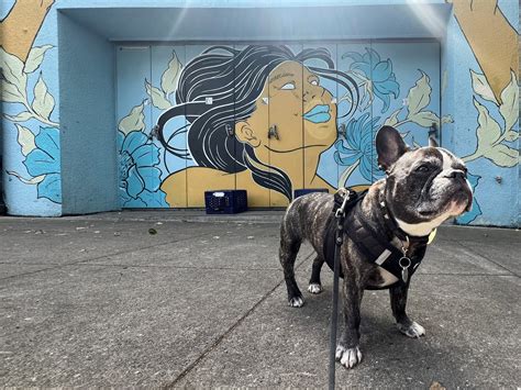 Graffiti, Murals, and More! A Portland Street Art Guide — Sick Girl Travels