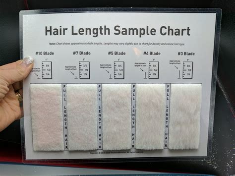 Dog clipper guard size chart - mazsmart