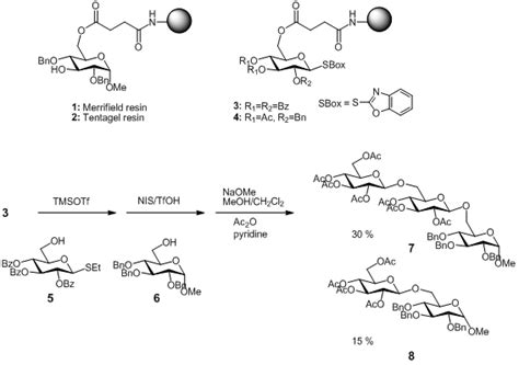 Recent developments on oligosaccharide synthesis