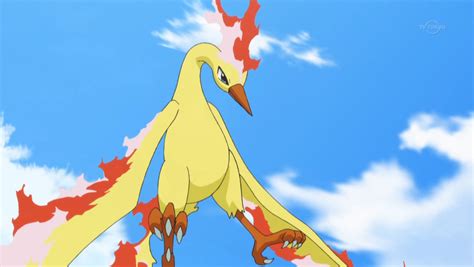 25 Awesome And Fascinating Facts About Moltres From Pokemon - Tons Of Facts