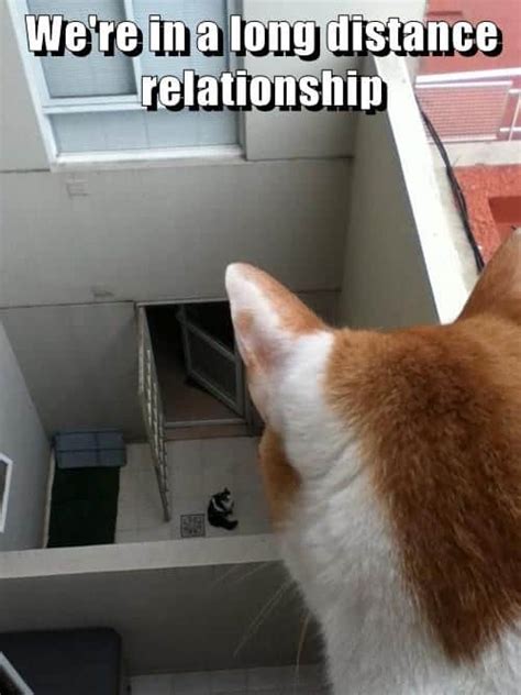 25 Encouraging & Funny Long-Distance Relationship Memes - SayingImages.com