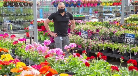 The 7 Best Deals From Walmart Garden Center