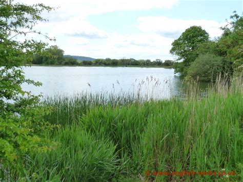 Tring Reservoirs Walk along Towpath and Paths in Buckinghamshire, England.