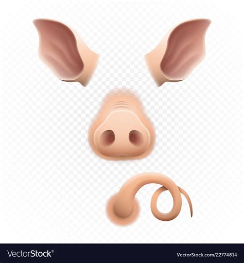 Cute pig ears tail and nose or piglet 2019 Vector Image